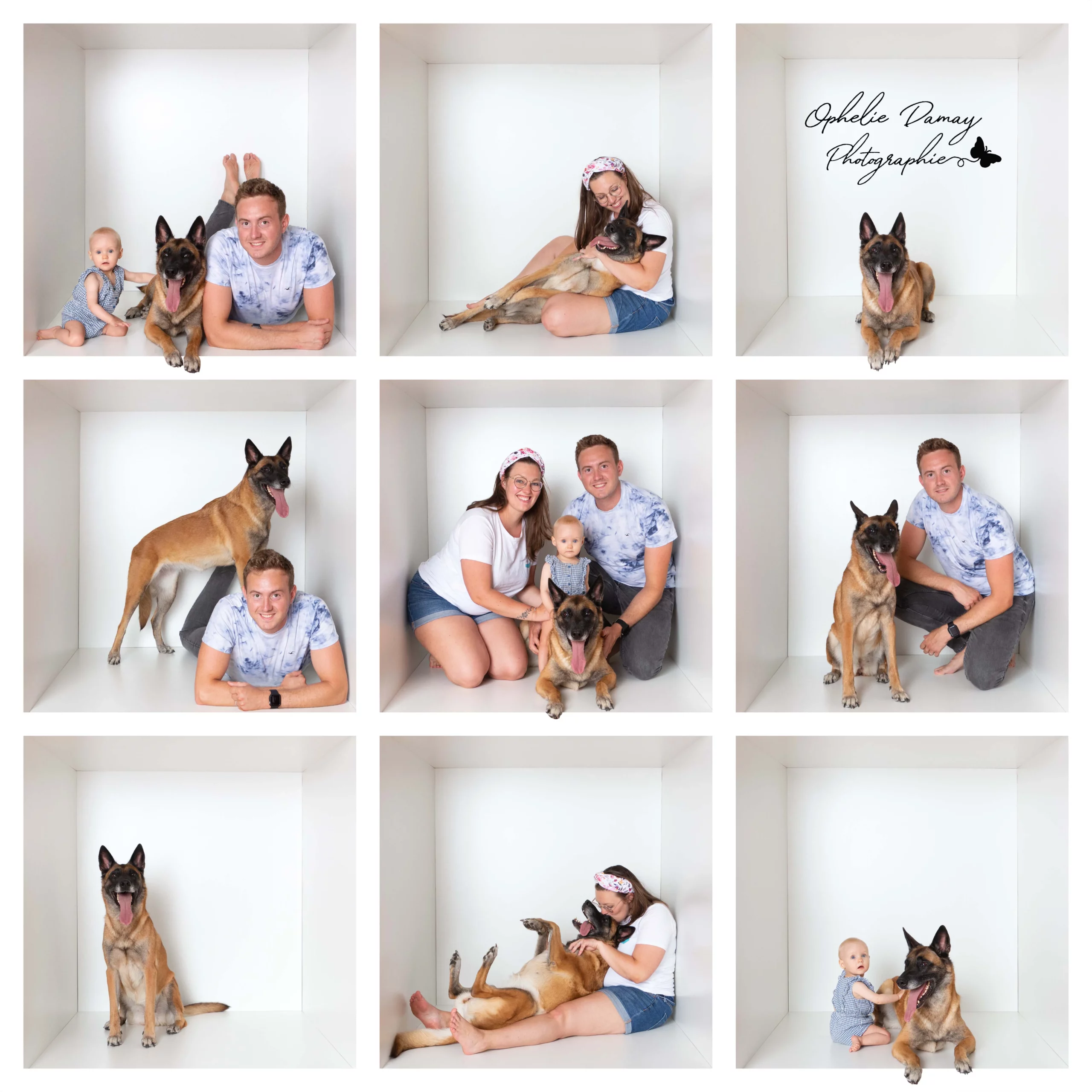 alt="Montage photo Family Box : portraits créatifs d'une famille avec leur chien dans une boîte"